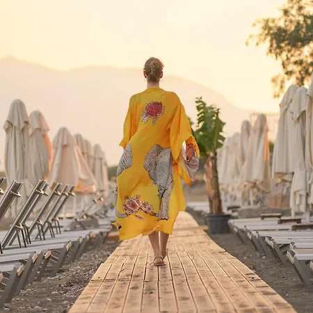 Dirik Surf * 达特恰