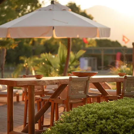 Dirik Surf * 达特恰