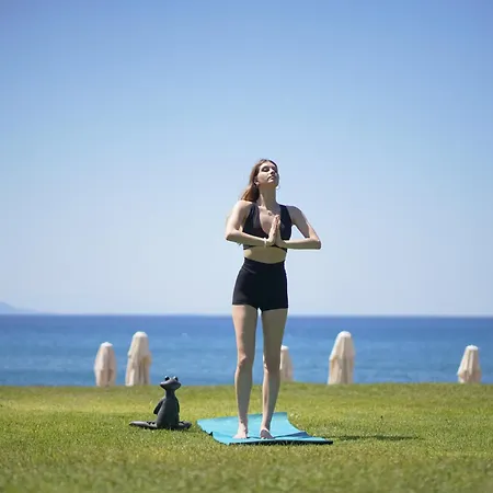 Dirik Surf * 达特恰