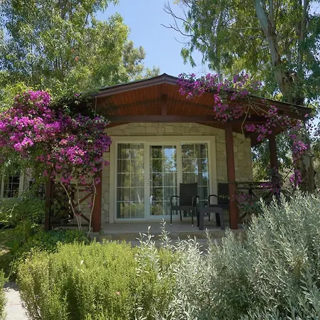 Dirik Surf 达特恰