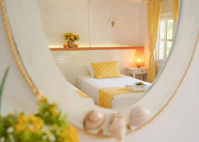 Dirik Surf * דטקה