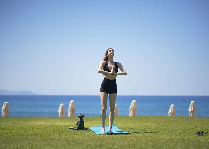 Dirik Surf * דטקה