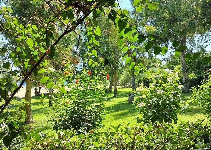 מלון Dirik Surf דטקה