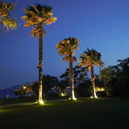 Dirik Surf מלון *