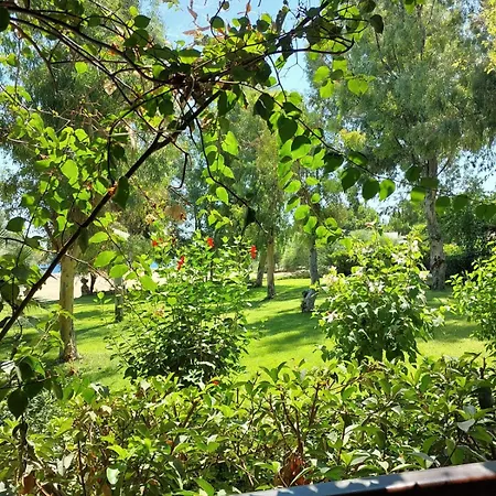 מלון Dirik Surf דטקה