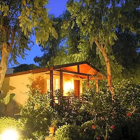 Hotel Dirik Surf 4*